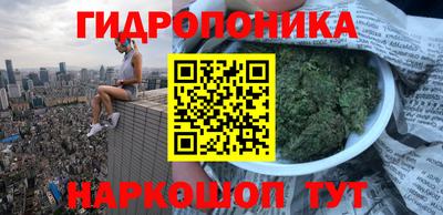 a pvp Заволжье