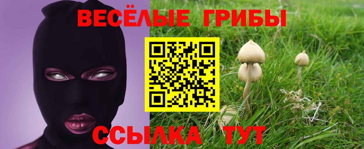 Галлюциногенные грибы мицелий Кимовск
